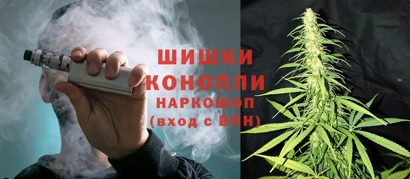 где купить наркотик  Велиж  Конопля SATIVA & INDICA 